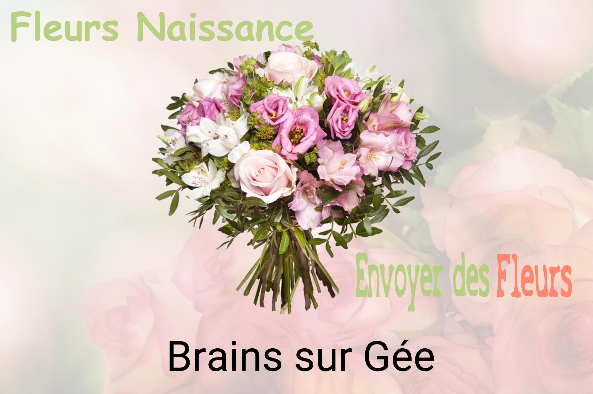 Bouquet de fleurs de naissance livré à Brains-sur-Gée